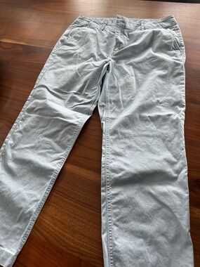 Light BlueCasual Straight-Leg Ankle Pant